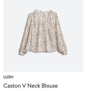 LUSH Caston V Neck Blouse, Large